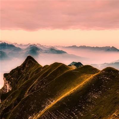 空闲防御黑暗森林游戏下载